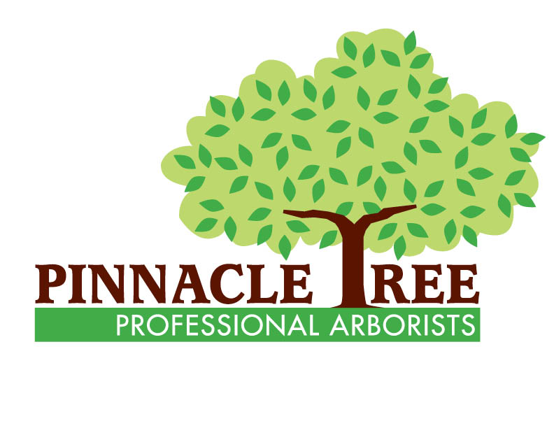 Pinnacle Tree Logo